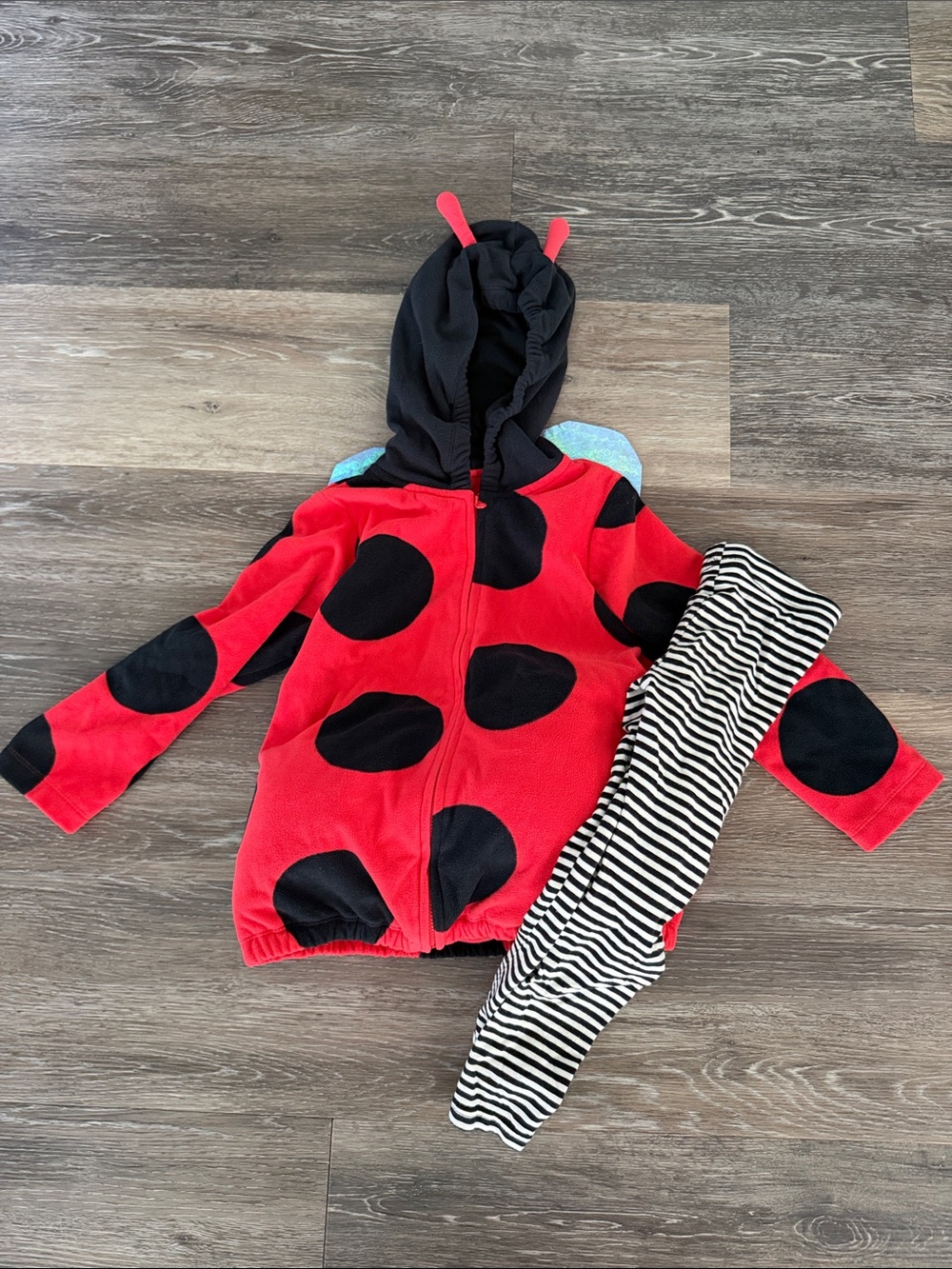 Carter's Red and Black Ladybug Jacket with Striped Leggings